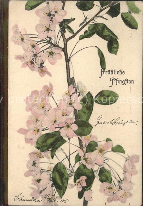 Pfingsten Pentecost Pentecote Blumen