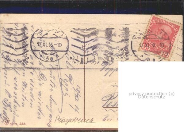Brieftaube Carrier Pigeon voyageur Gedenke mein Gedicht – Bild 2