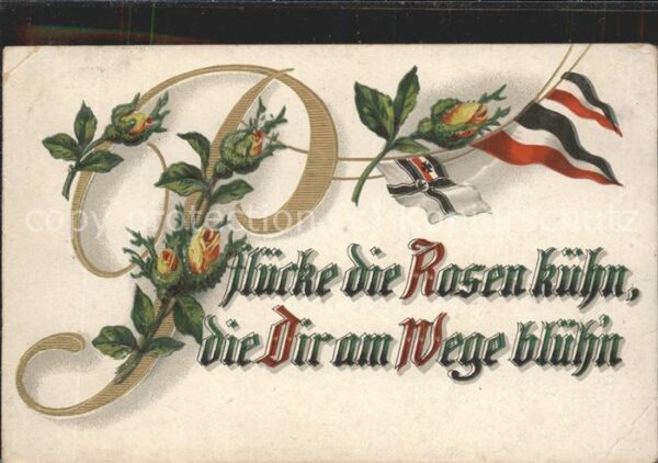 Poesie Pflücke die Rosen kühn die Dir am Wege