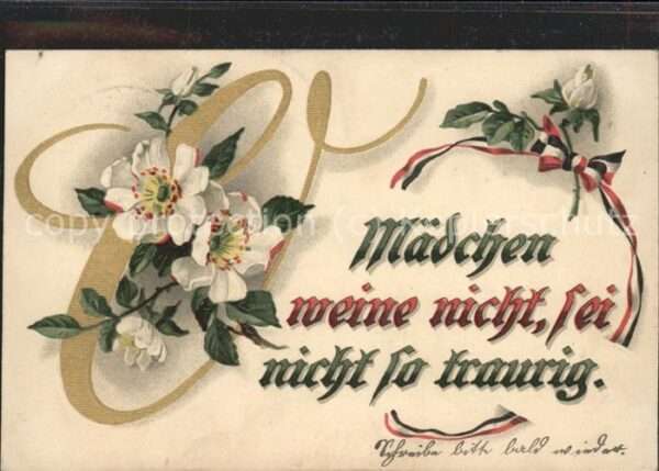 Poesie Mädchen weine nicht sei nicht so trauri