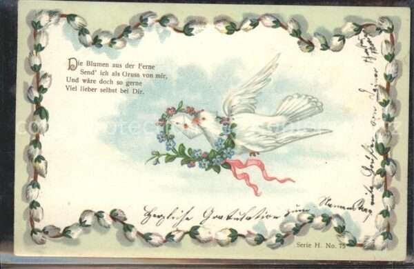 Brieftaube Carrier Pigeon voyageur Blumen aus der Ferne