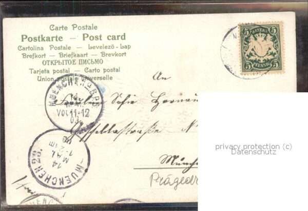 Brieftaube Carrier Pigeon voyageur Blumen aus der Ferne – Bild 2