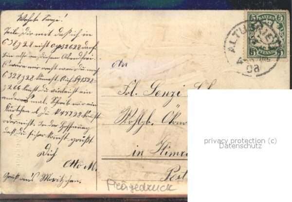 Tauben Liebeswerben – Bild 2