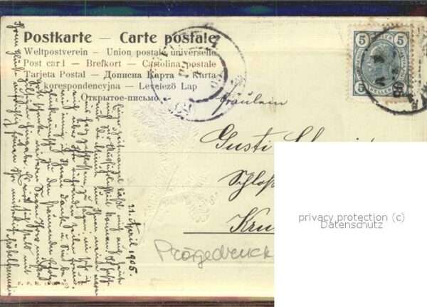 Adel Winter Zweig – Bild 2