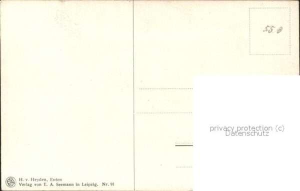Kuenstlerkarte H.v.Heyden  Enten – Bild 2