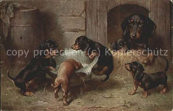 Tiere Hündin mit Welpen T. S. N. Serie