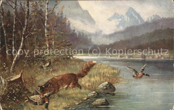 Tiere Fuchs Enten