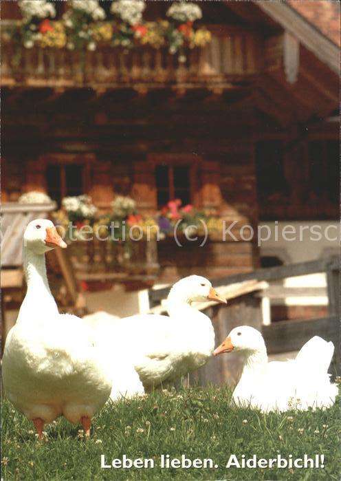 Tiere Enten