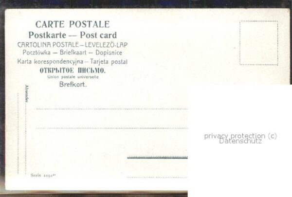 Pferde Pferd – Bild 2