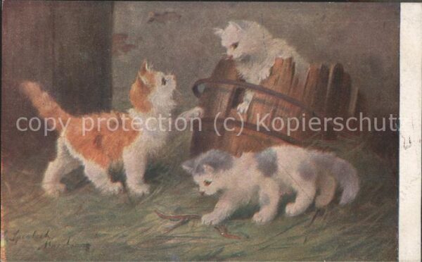 Katzen Regenwurm