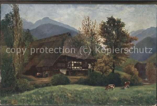 Bauernhof Kühe Berge Fachwerkhaus