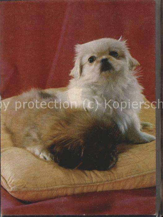Hunde