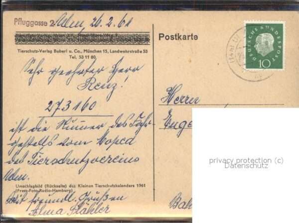 Tiere Hund Katze – Bild 2