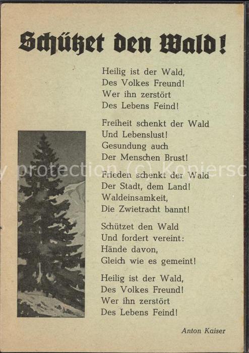 Natur Schützt den Wald