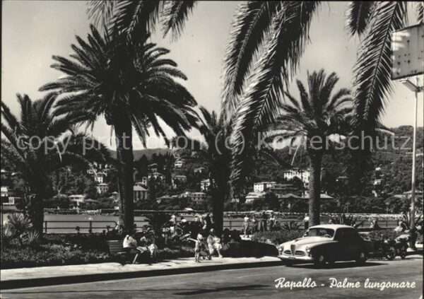 Palmen Rapallo Palme lungomare