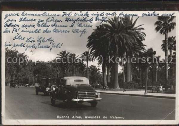 Palmen Buenos Aires Avenidas de Palermo