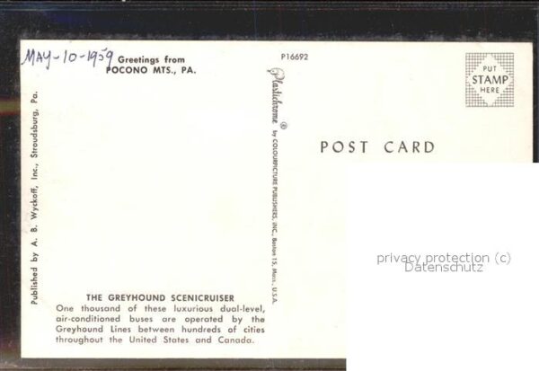 Autobus Omnibus Pocono Mts. Pa Greyhound Scenicruisers – Bild 2