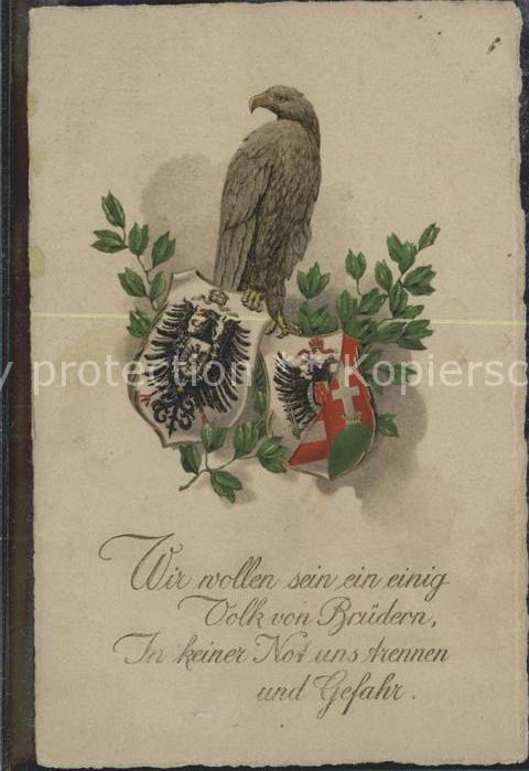 Adler Eagle Aigle Aguila Wappen Volk Brüdern Krieg Politik