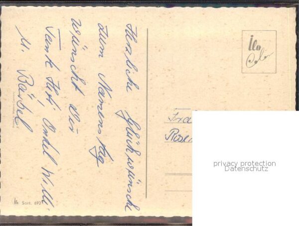 Pferde – Bild 2