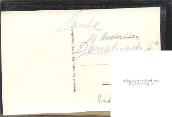 Geige Frau Dame – Bild 2