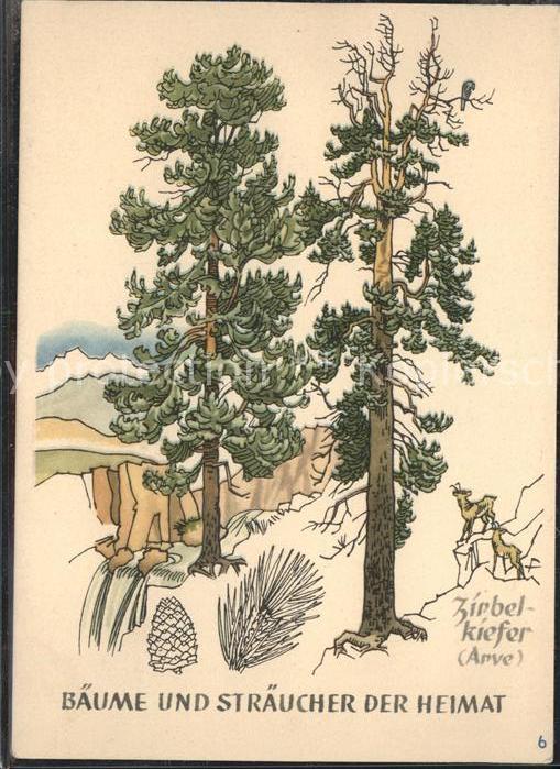 Spendenkarte Jugendherberge