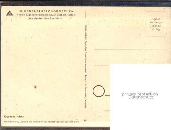 Spendenkarte Bäume Sträucher – Bild 2