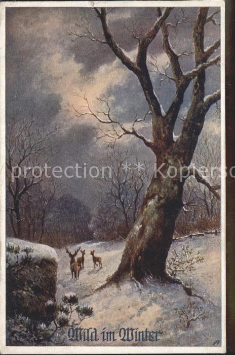 Verlag Schulverein Nr. 734 Hirsche Baum Winter