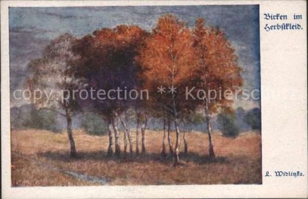 Verlag Schulverein Nr. 1211 Birken im Herbstkleid L Widlizka