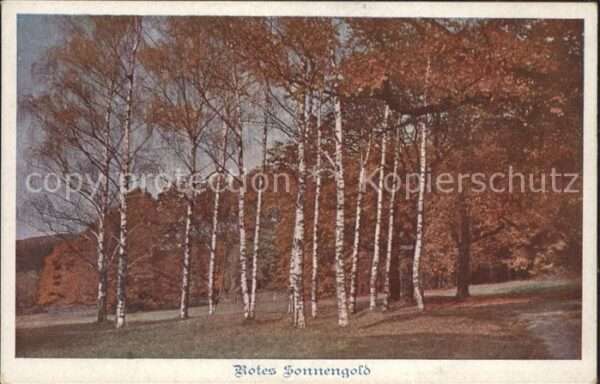Verlag Schulverein Nr. 881 Rotes Sonnengold