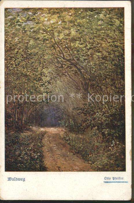Kuenstlerkarte Otto Pfeiffer Waldweg