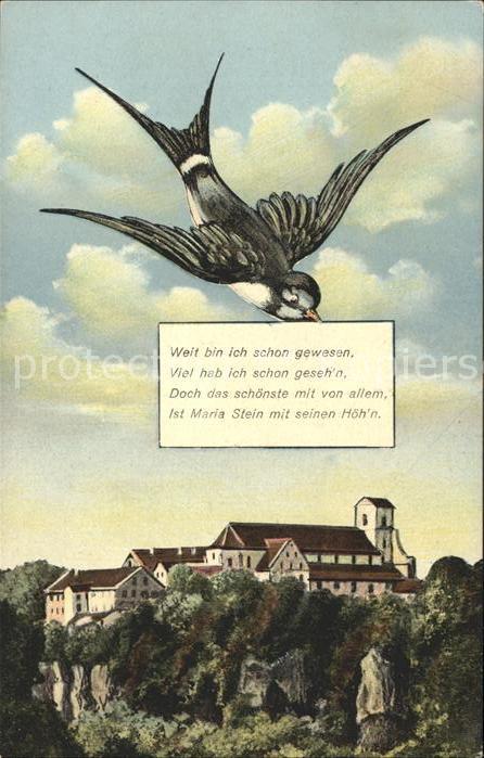Maria Stein Vogel grüße