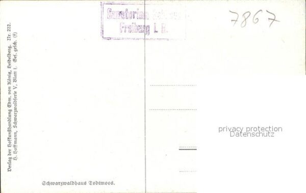 Hoffmann Heinrich Schwarzwaldhaus Todtmoos Nr. 222 – Bild 2