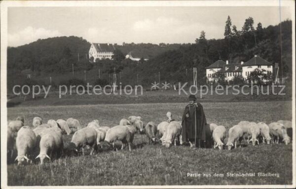 Hirte Schafe Steinlachtal Bläsiberg