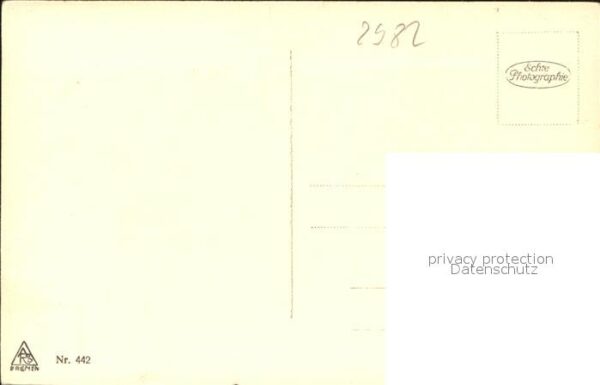 Moewen Norderney – Bild 2
