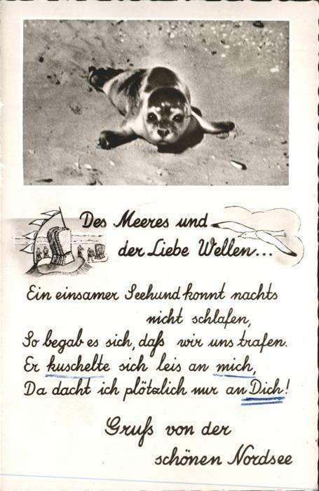 Seehunde Robben Nordsee Gedicht Spruch