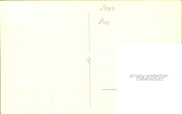 Zebra – Bild 2