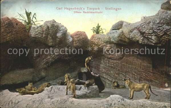 Hagenbeck Tierpark Stellingen Raubtierschlucht Ti