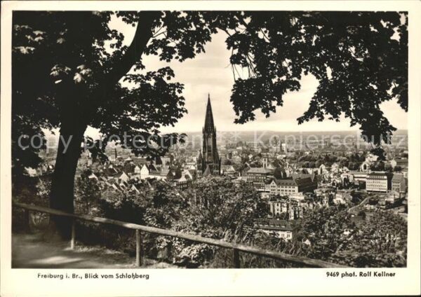 Foto Kellner Rolf Nr. 9469 Freiburg i. Br. Münster