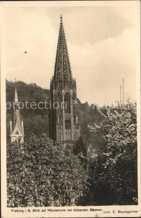 Foto Baumgartner E. Nr. 8227 Freiburg i. Br. Münsterturm