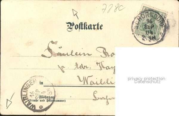Trompeter Scheffel Überraschung – Bild 2