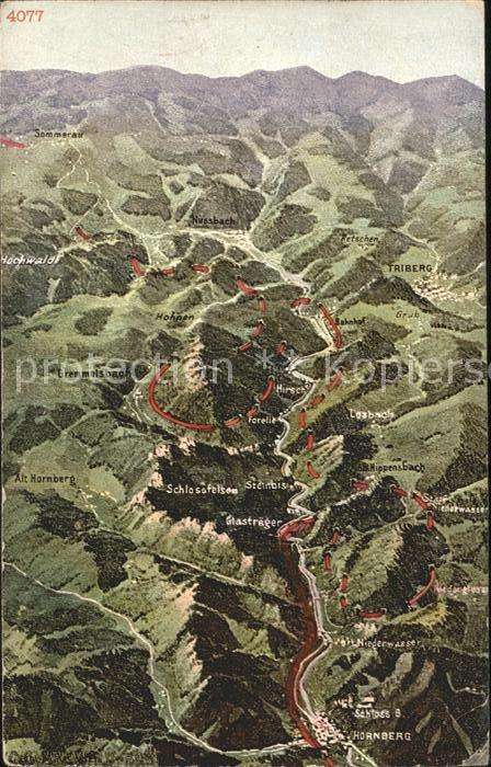 Schwarzwald Reliefkarte von Triberg bis Hornberg
