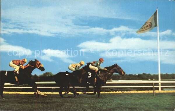 Pferdesport Pferderennen Reitsport Long Island