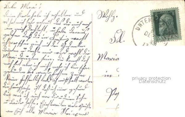 Jagd Pferde Hunde – Bild 2
