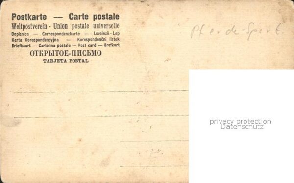 Pferdesport Pferderennen Reitsport Photogravure Polo – Bild 2