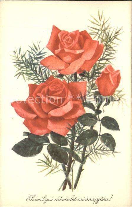 Rosen