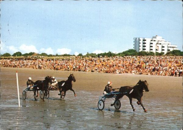 Pferdesport Pferderennen Reitsport Cuxhaven-Duhnen Trabrennen