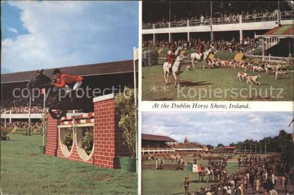Pferdesport Pferderennen Reitsport Dublin Horse Show Ireland