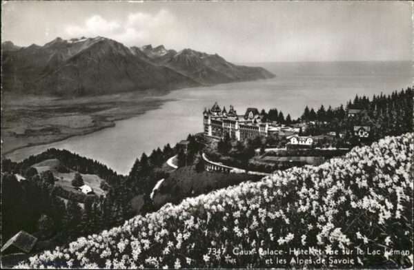 Caux VD Palace Hotel Net