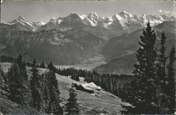 Beatenberg Schreckhorn Eiger Mönch Jungfrau finste