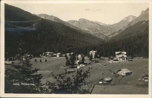 Morgins